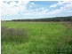 85 Terry Road, Theresa Park NSW 2570
