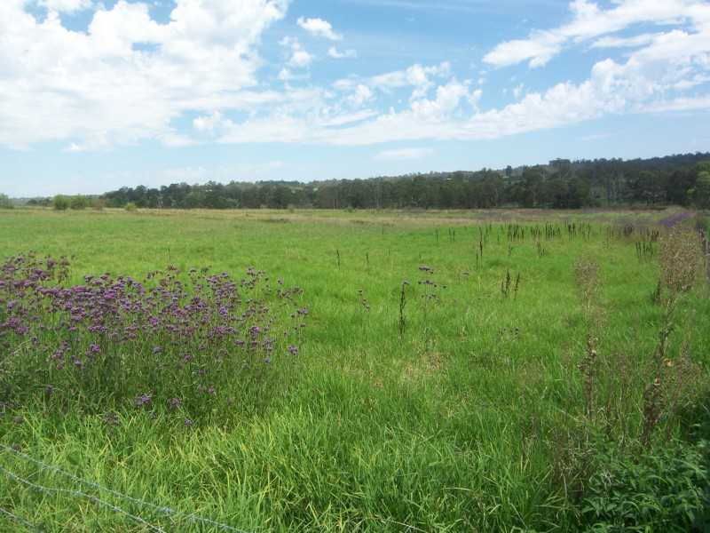 85 Terry Road, Theresa Park NSW 2570
