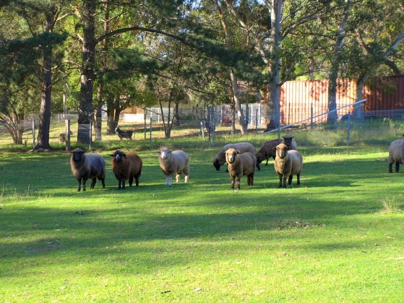 Orangeville NSW 2570