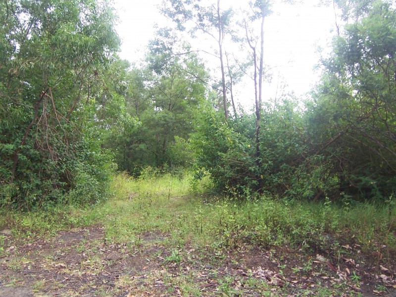 10 Werribirri Road, Orangeville NSW 2570