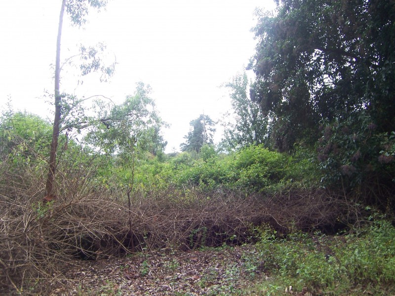 10 Werribirri Road, Orangeville NSW 2570