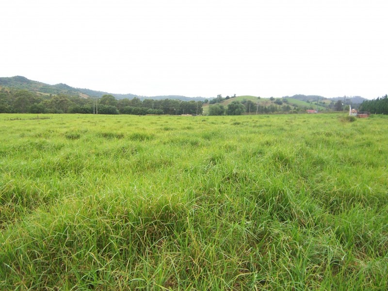 320 Spring Creek Road, Mount Hunter NSW 2570