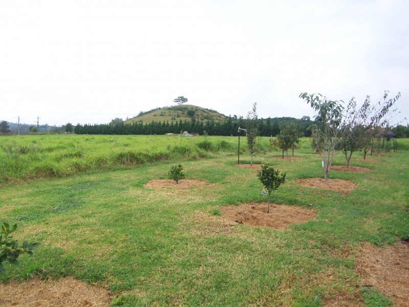 320 Spring Creek Road, Mount Hunter NSW 2570