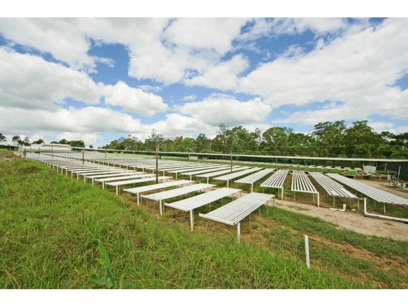 Theresa Park NSW 2570