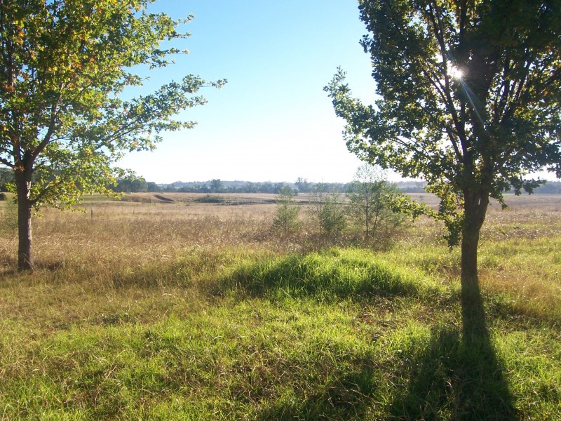 300 McKee Road, Theresa Park NSW 2570