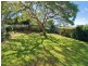 41 Stevenson Street, Grange QLD 4051
