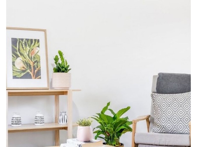 4/61 Wesley Street, Lutwyche QLD 4030