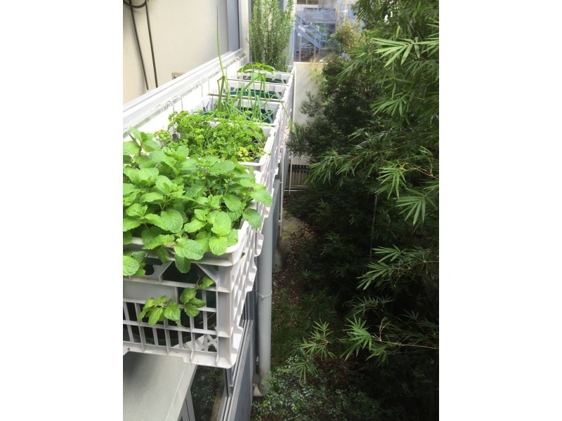 9/38 Robertson St, Fortitude Valley QLD 4006