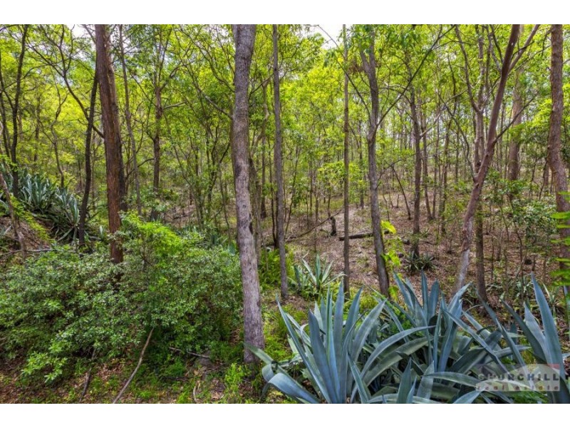 21 El Paso Street, Bardon QLD 4065