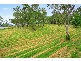 5 Winrock Street, Brookfield QLD 4069