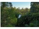 11 Robertson Place, Fig Tree Pocket QLD 4069