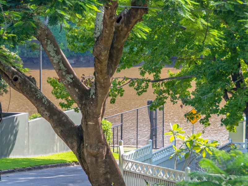 36 Morley Street, Chelmer QLD 4068