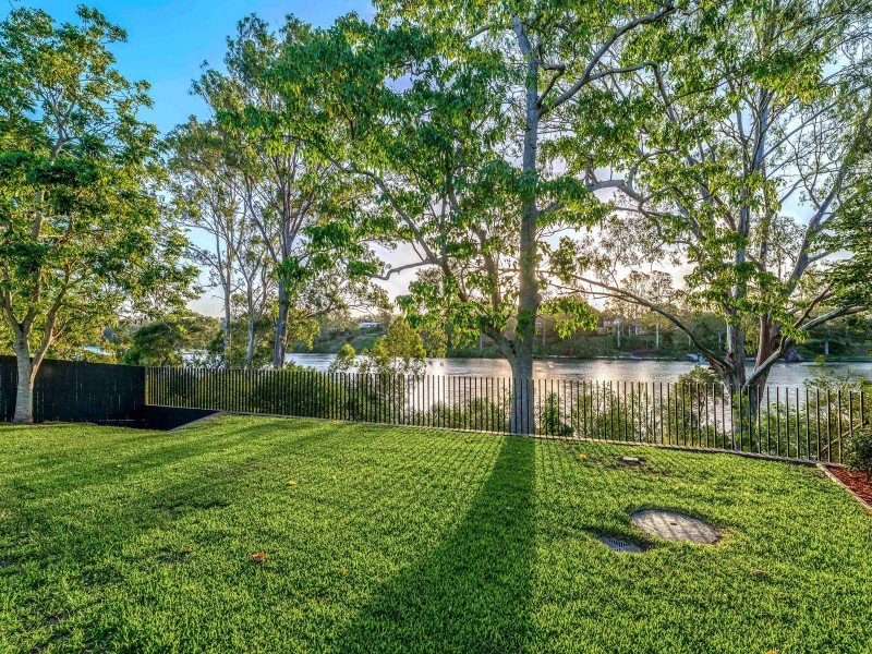 17 Arbour Street, Sherwood QLD 4075