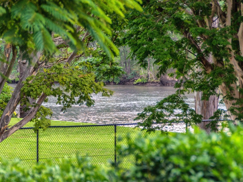 438 Brisbane Corso, Yeronga QLD 4104