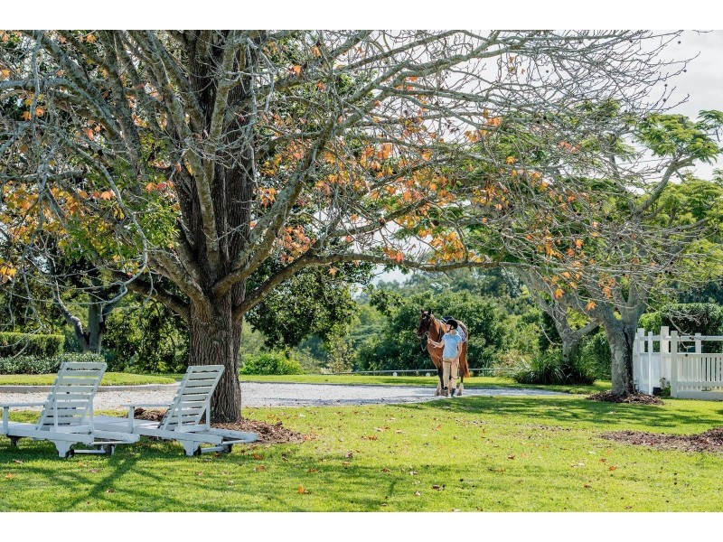 385 Jesmond Road, Fig Tree Pocket QLD 4069