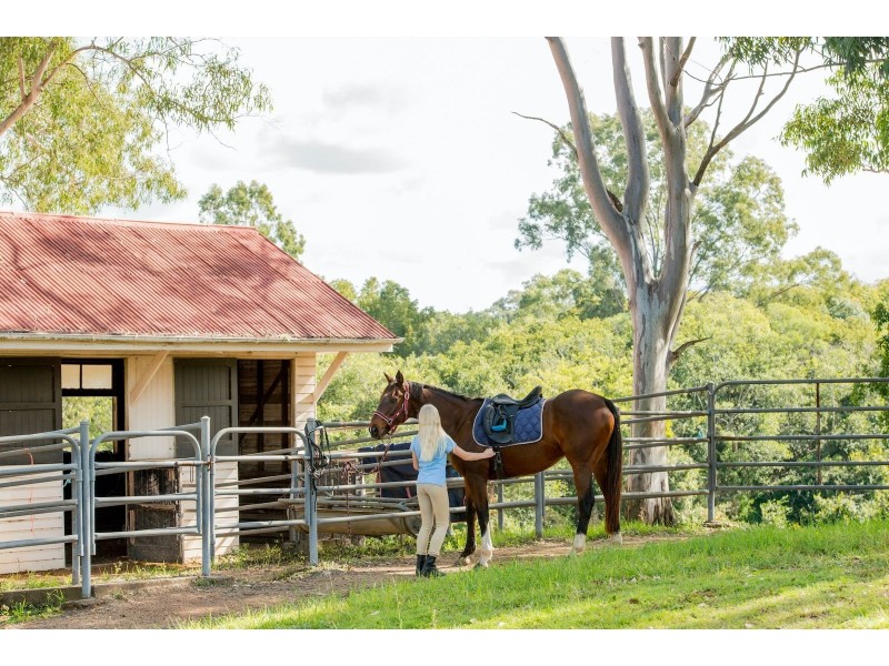 385 Jesmond Road, Fig Tree Pocket QLD 4069