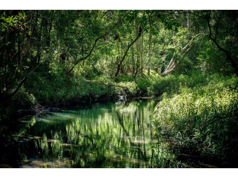 385 Jesmond Road, Fig Tree Pocket QLD 4069