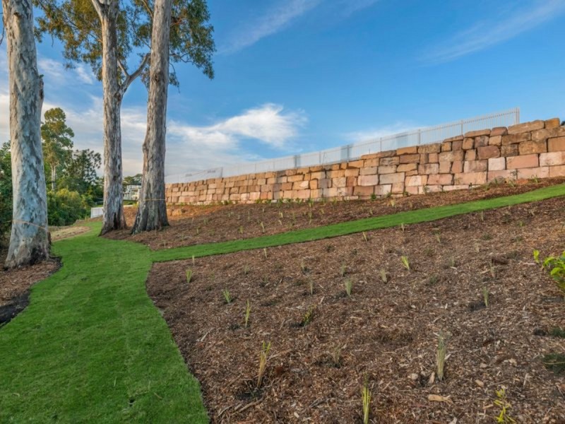 52 Paragon Street, Yeronga QLD 4104