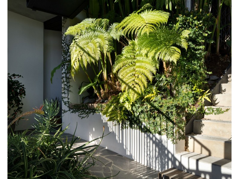 7 Davidson Tce, Teneriffe QLD 4005