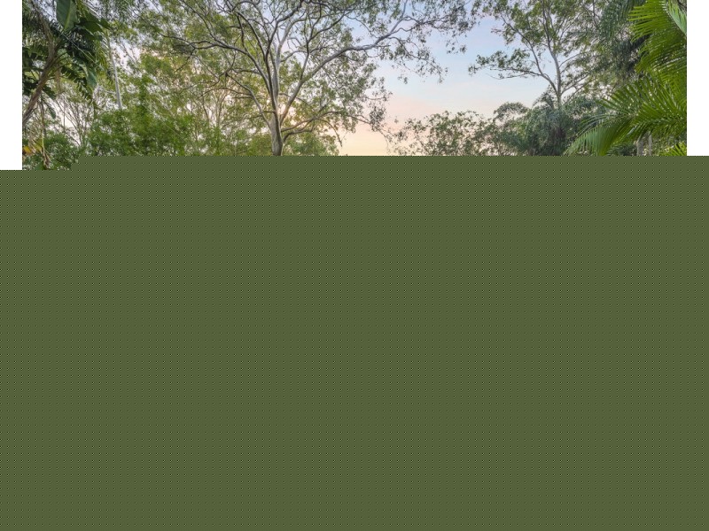 65 Westminster Boulevard, Elanora QLD 4221