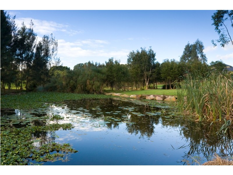 15 Oasis Ct, Fig Tree Pocket QLD 4069