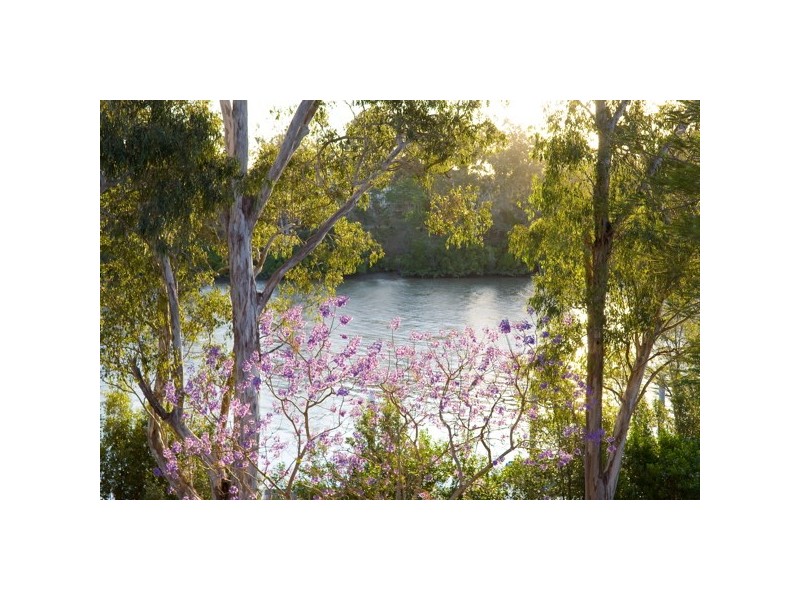 189 Laurel Ave, Chelmer QLD 4068