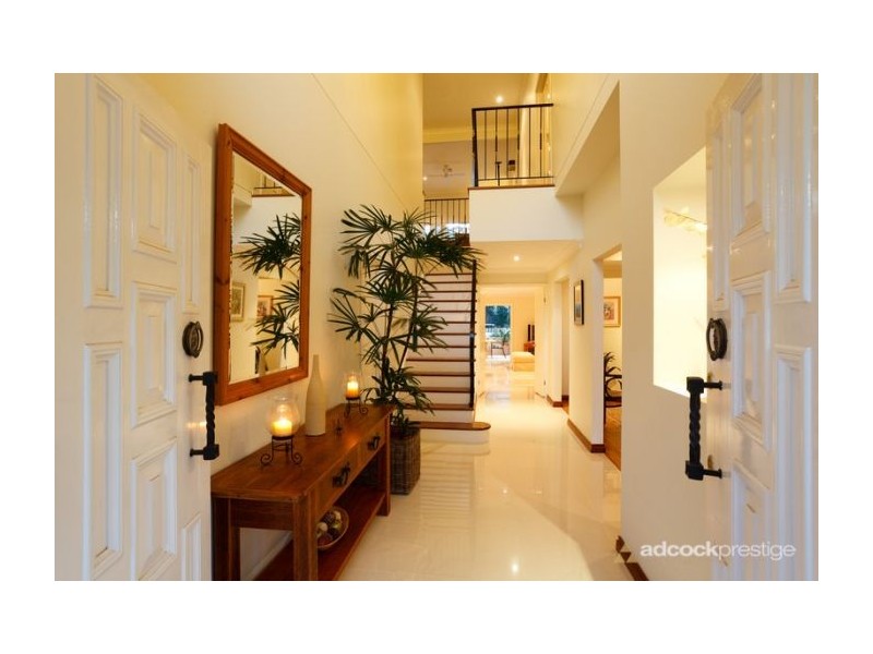 6 Wattle Street, Ascot QLD 4007