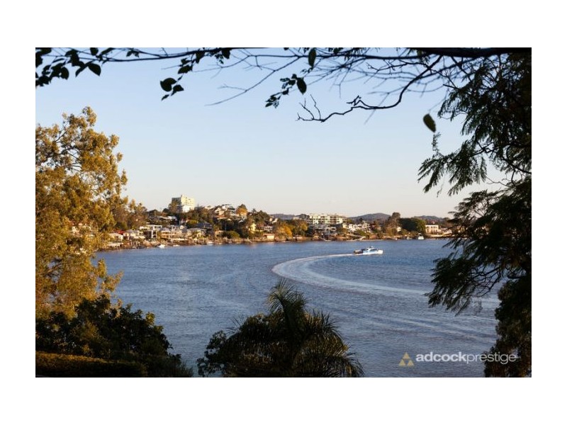 50 Aaron Avenue, Hawthorne QLD 4171