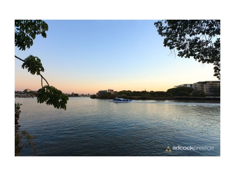 50 Aaron Avenue, Hawthorne QLD 4171