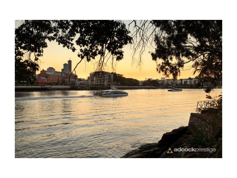 50 Aaron Avenue, Hawthorne QLD 4171