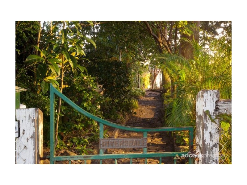 50 Aaron Avenue, Hawthorne QLD 4171