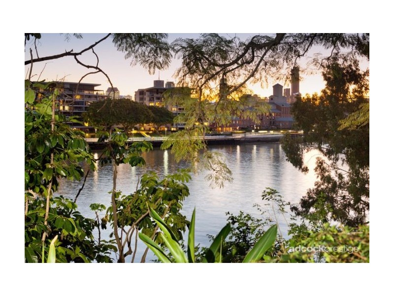 50 Aaron Avenue, Hawthorne QLD 4171