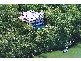 50 Dauphin Terrace, Highgate Hill QLD 4101