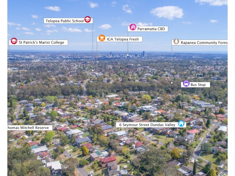 6 Seymour Street, Dundas Valley NSW 2117