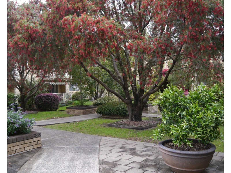 12/105 Burns Bay Road, Lane Cove NSW 2066