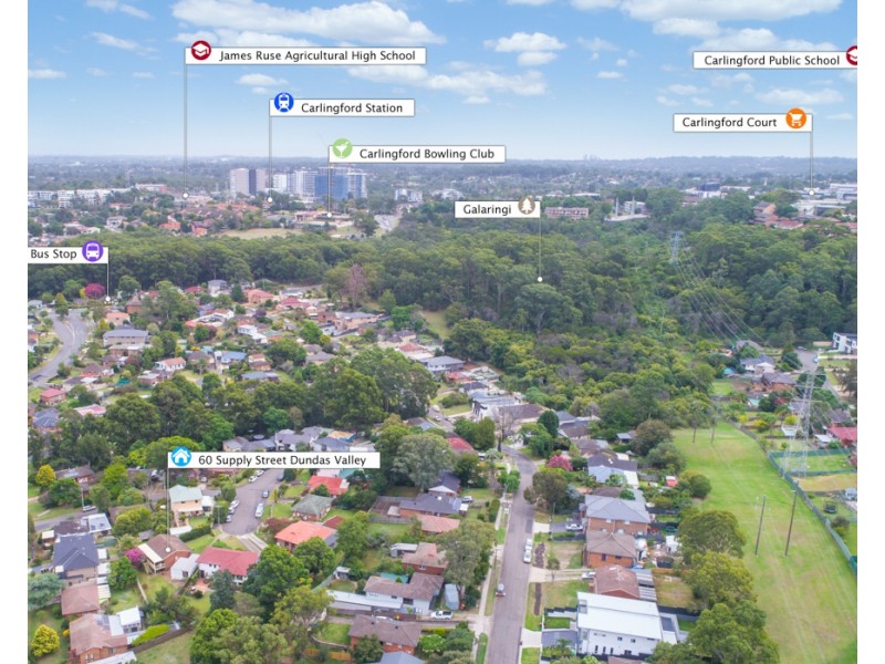 60 Supply Street, Dundas Valley NSW 2117