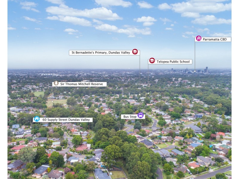 60 Supply Street, Dundas Valley NSW 2117