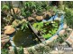 1B Lewis Street, Airlie Beach QLD 4802