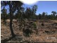 MC 71744 Off Diggers Road, Sapphire QLD 4702