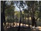 25 Richardson St, Anakie, The Gemfields QLD 4702