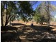 49 Mt Bullock Street, Sapphire QLD 4702