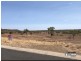 17 Airport Dr, Springsure QLD 4722