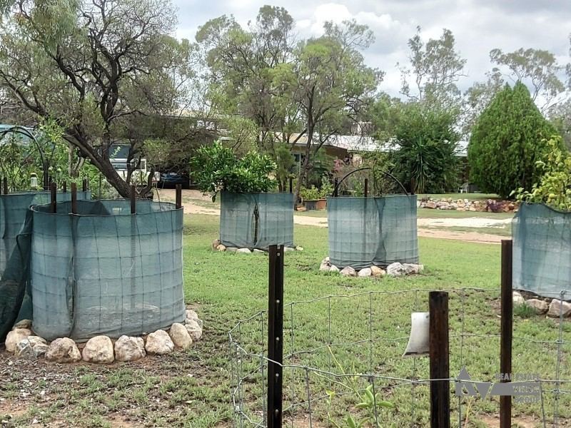 172 Goanna Flats Rd, Rubyvale, The Gemfields QLD 4702