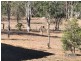 28 Old Crossing Rd, Sapphire, The Gemfields QLD 4702