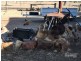 28 Old Crossing Rd, Sapphire, The Gemfields QLD 4702