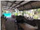 1085 Rubyvale Sapphire Rd, Sapphire QLD 4702