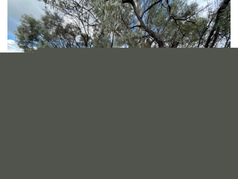 MC/71527/72005 Rockhound Road, The Gemfields QLD 4702