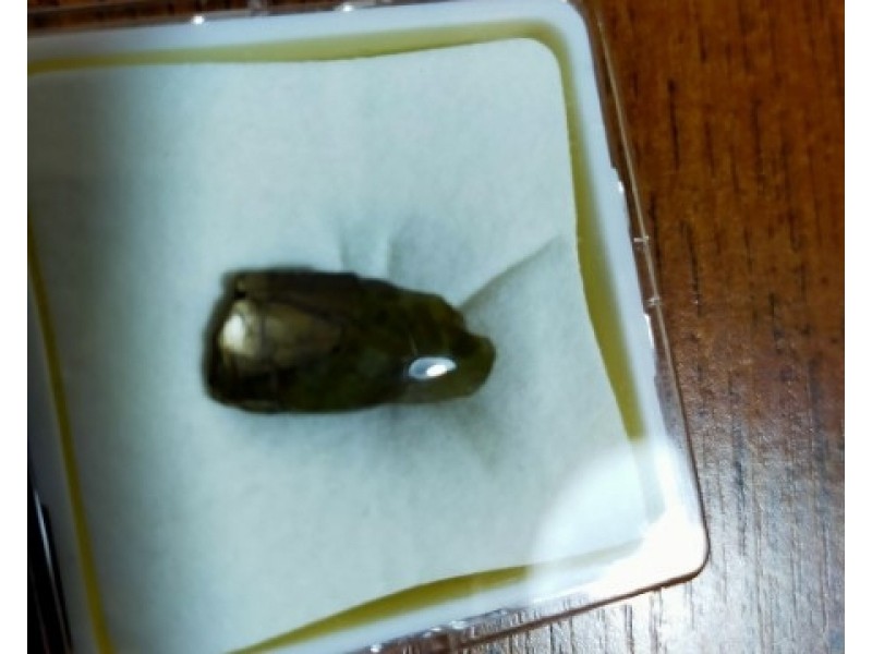 MC71937 Off Sapphire Road, Sapphire QLD 4702