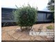 26 Beatty St, Clermont QLD 4721