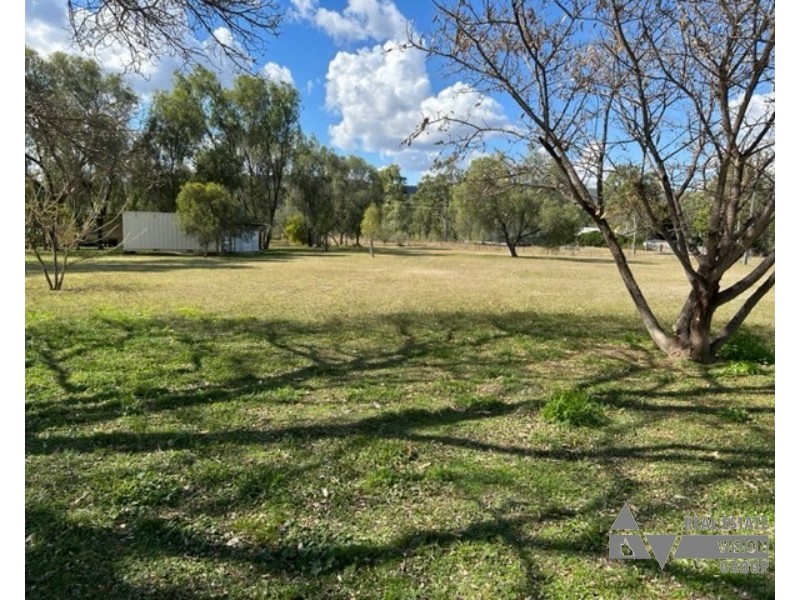 Zamia Street, Willows QLD 4702